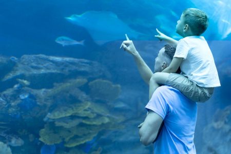 Explore Budget-Friendly Dubai and Dubai Aquarium