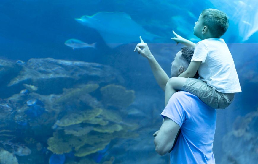 Explore Budget-Friendly Dubai with Free Dubai Aquarium Tickets