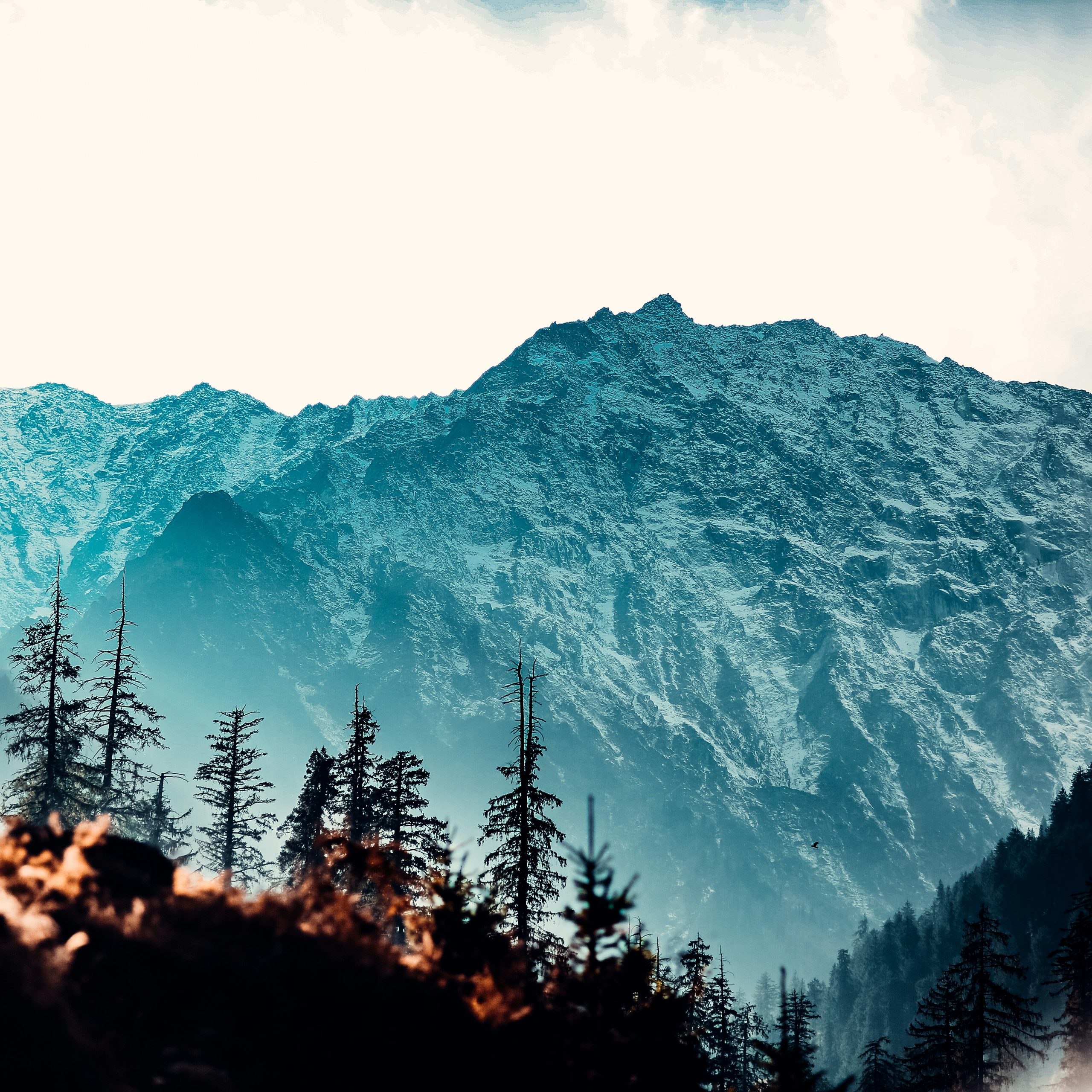 himachal mountains