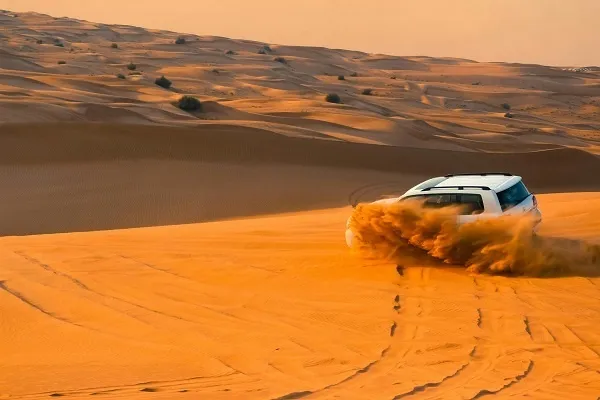 Dubai Desert Safari with BBQ Dinner & Live Shows