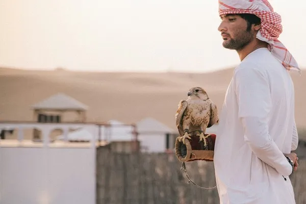 Dubai Desert Safari with BBQ Dinner & Live Shows